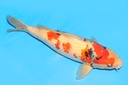 342042.JPG