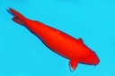 343026.JPG