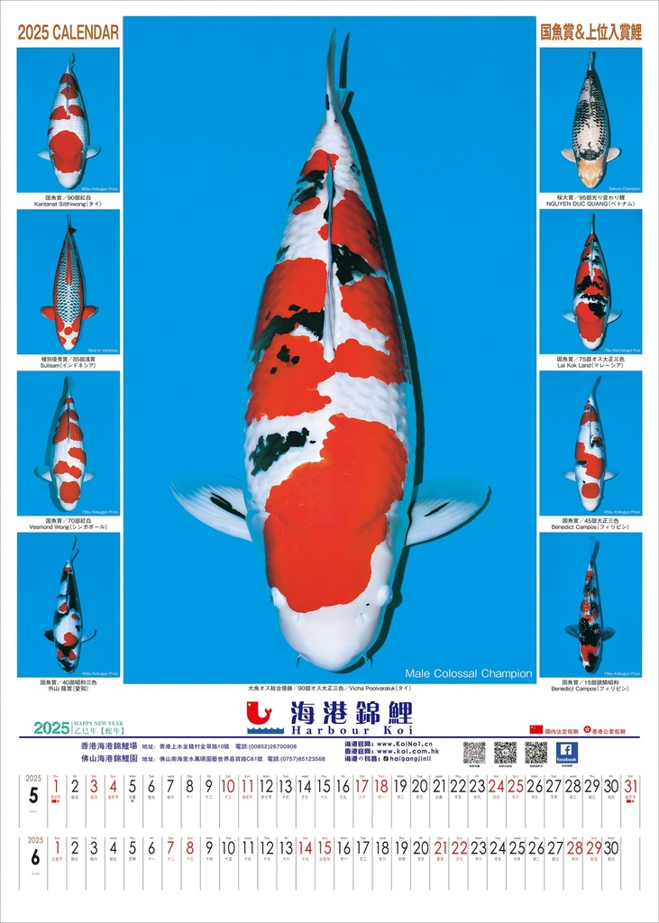 微信图片_202501041125531.jpg
