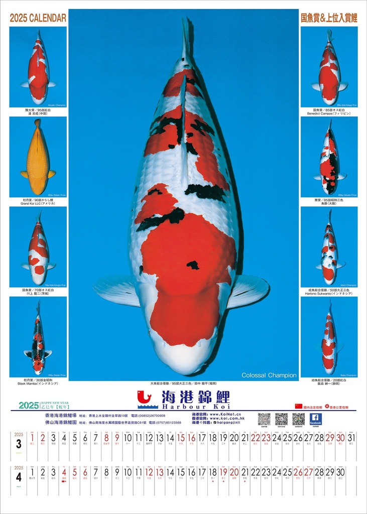 微信图片_20250104112553.jpg