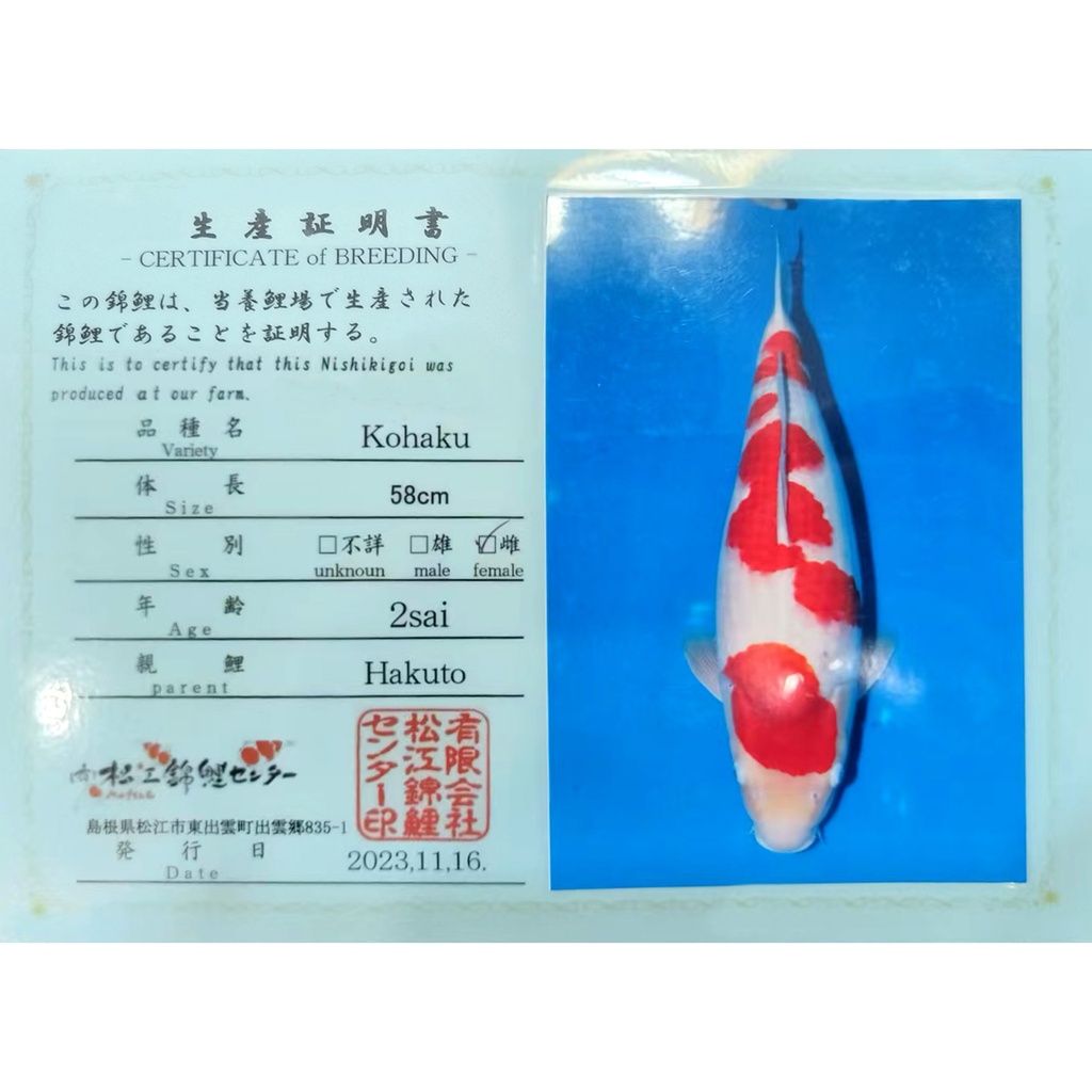 adaa86ce30d4451d8f86e16a659e865.jpg