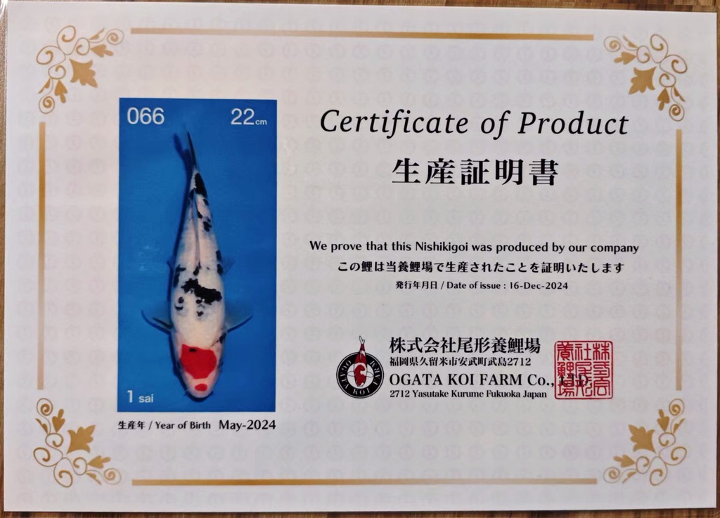 微信图片_20250313171642.jpg