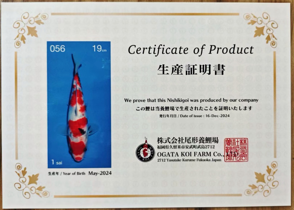 微信图片_202503131717083.jpg
