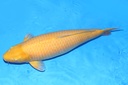 IMG_9739.JPG