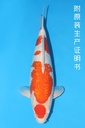 345005 (副本) (副本) (副本) (副本) (副本) (副本) (副本) (副本)