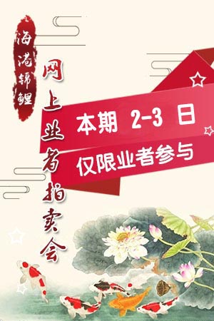 YZ74001 尾形产 Ogata（附视频）