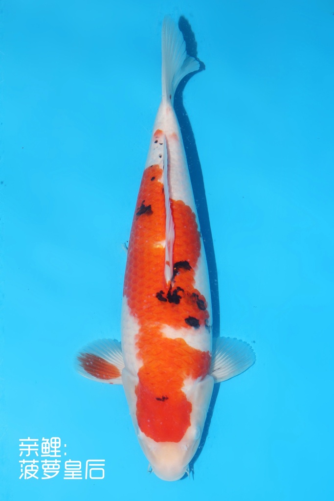 345005 (副本) (副本) (副本) (副本) (副本) (副本) (副本) (副本) (副本) (副本) (副本) (副本) (副本) (副本) (副本) (副本) (副本) (副本) (副本) (副本) (副本) (副本) (副本) (副本) (副本) (副本) (副本) (副本) (副本) (副本) (副本) (副本) (副本)