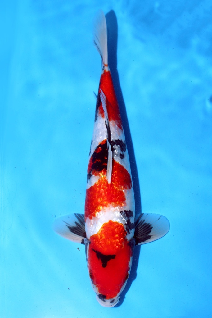 348050 (副本) (副本) (副本) (副本) (副本) (副本) (副本) (副本) (副本) (副本) (副本) (副本) (副本) (副本) (副本) (副本) (副本) (副本) (副本) (副本) (副本) (副本) (副本) (副本) (副本) (副本) (副本) (副本) (副本) (副本) (副本) (副本) (副本) (副本) (副本) (副本) (副本)